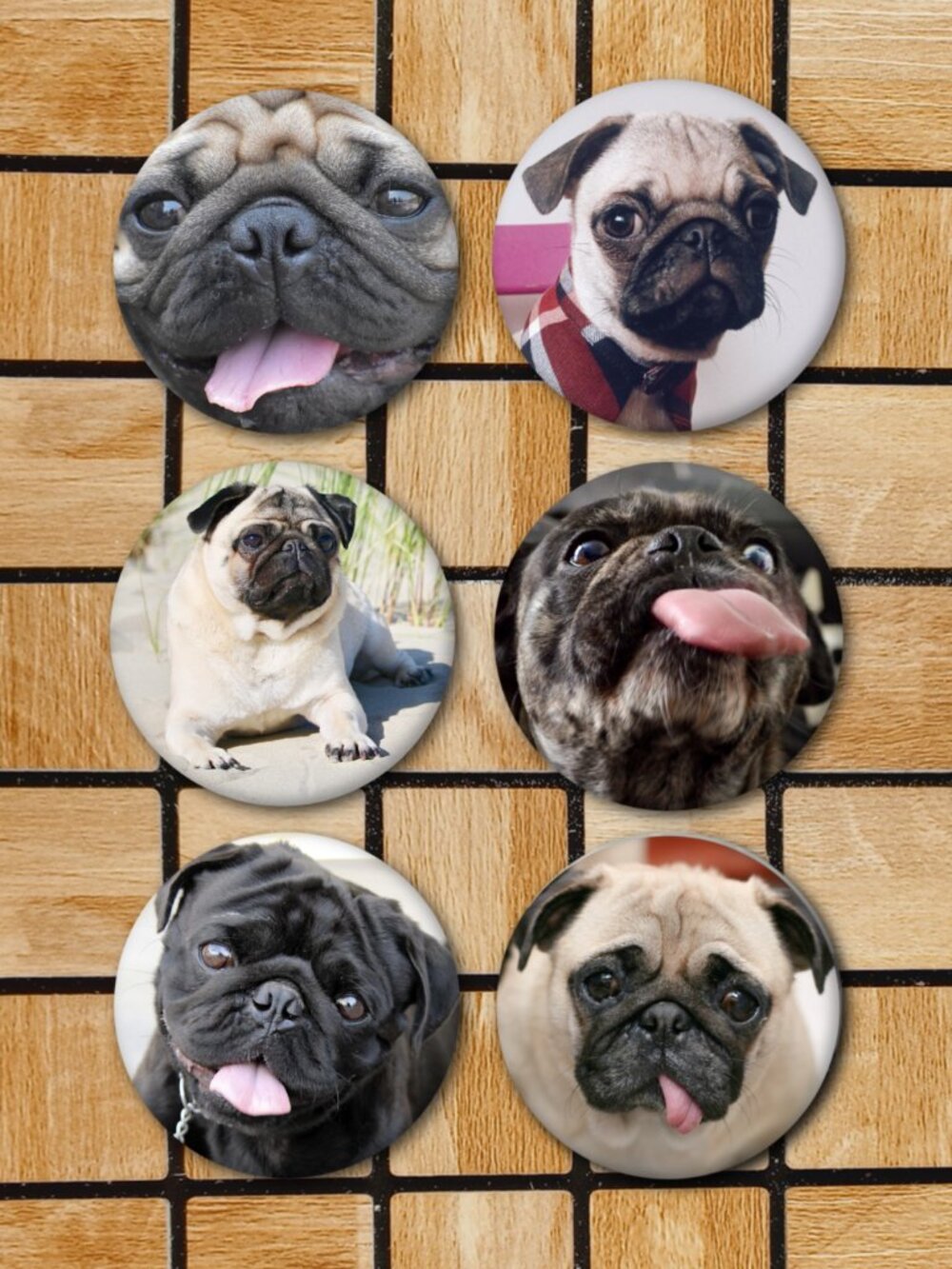 Cute Pug Dog Fridge Magnets - Set Of 6 Metal Magnets Home Office Kitchen School